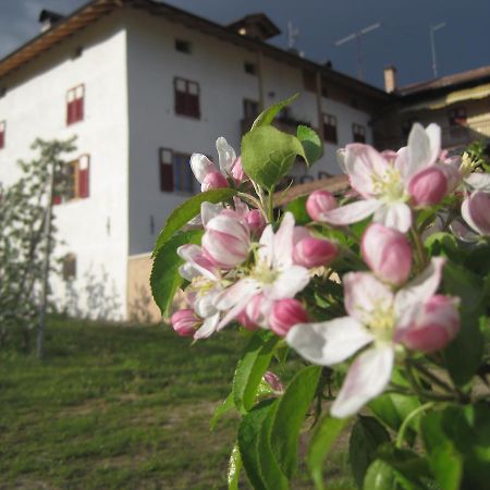 Agritur Maso San Bartolomeo Villa Romeno Exterior photo