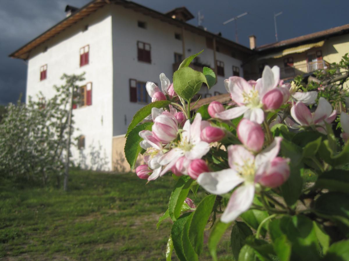 Agritur Maso San Bartolomeo Villa Romeno Exterior photo